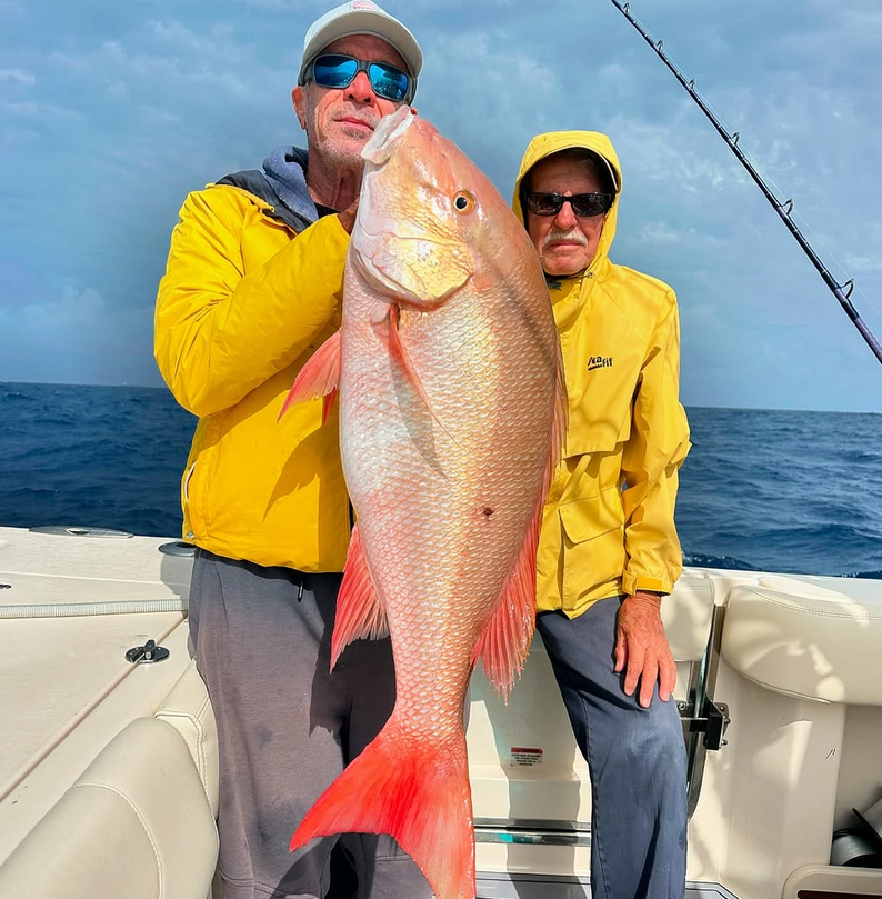 Mutton Manager 7' (conventional)