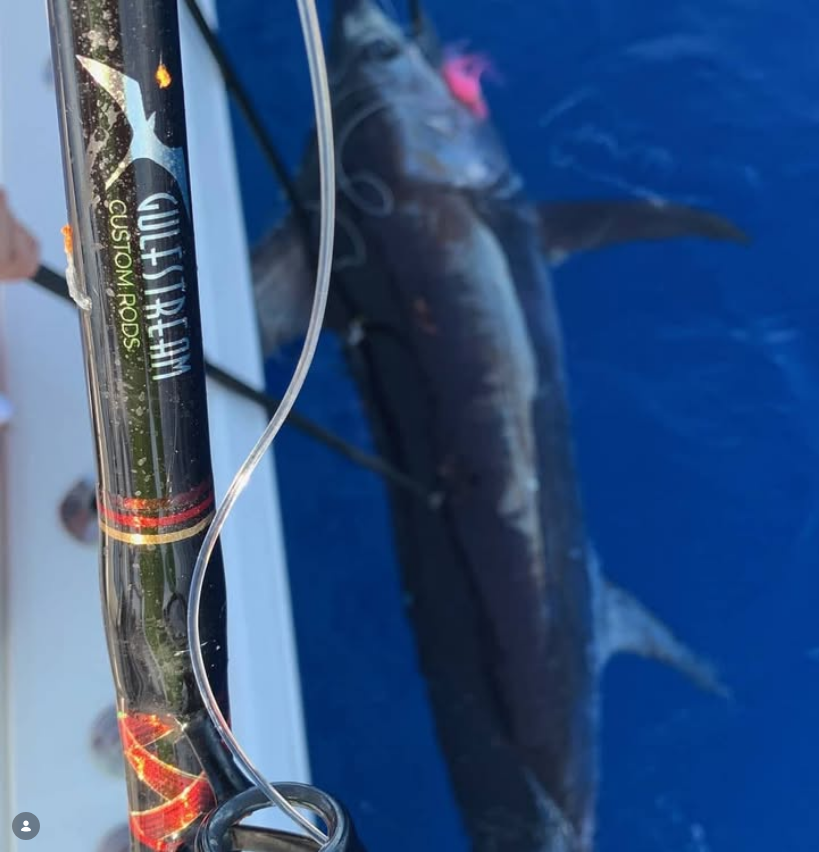 WMD #4 60-130# 63" Swordfish Deep Drop Rod